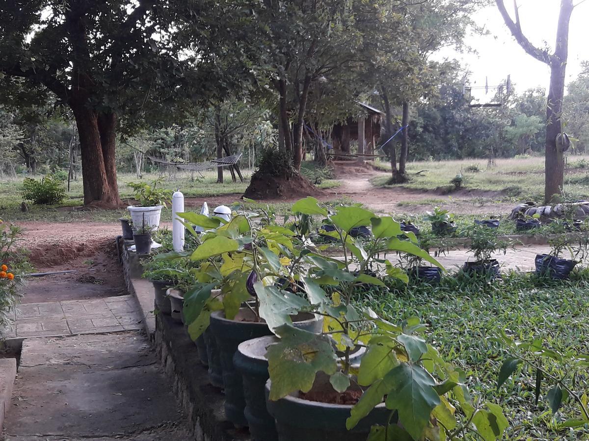 Landun Sigiri Villas Sigirîya Extérieur photo
